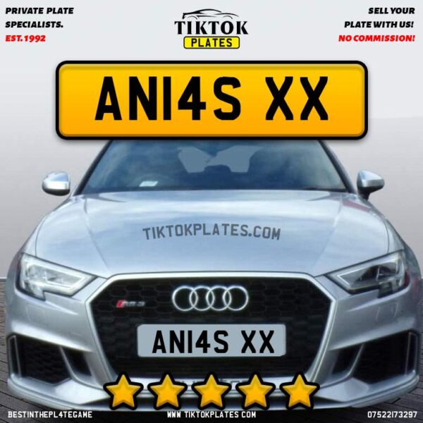 AN14S XX - Image 2